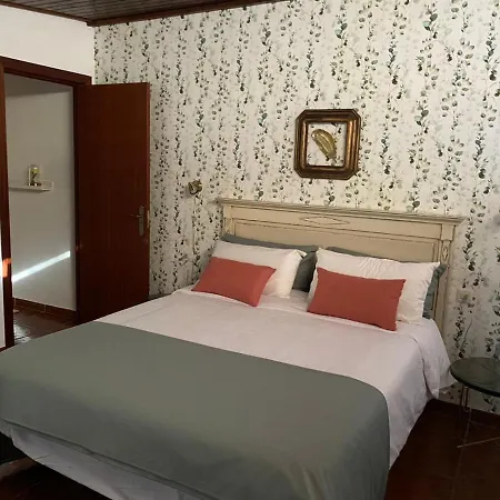 Old Town House La Laguna